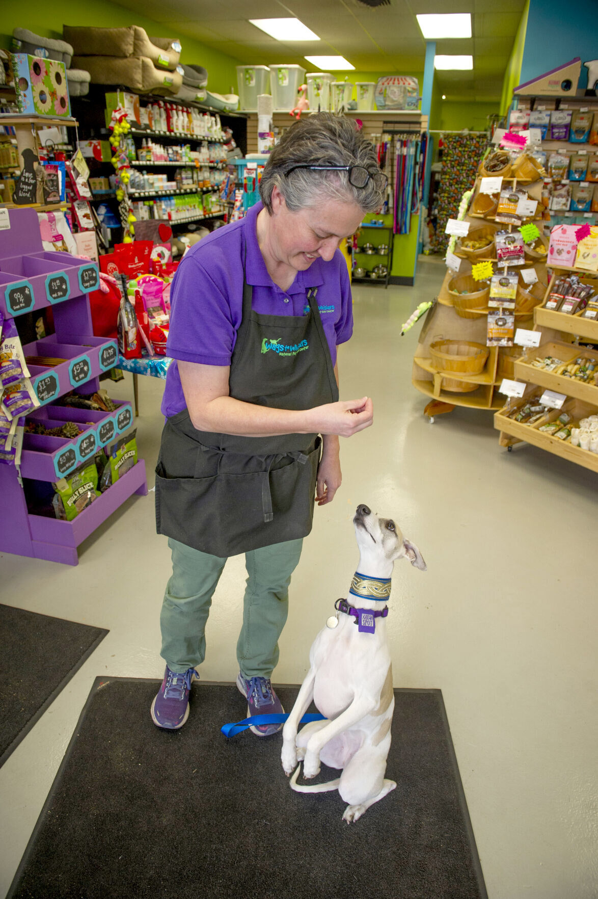 Wags to Whiskers in Walla Walla has something for every dog or cat