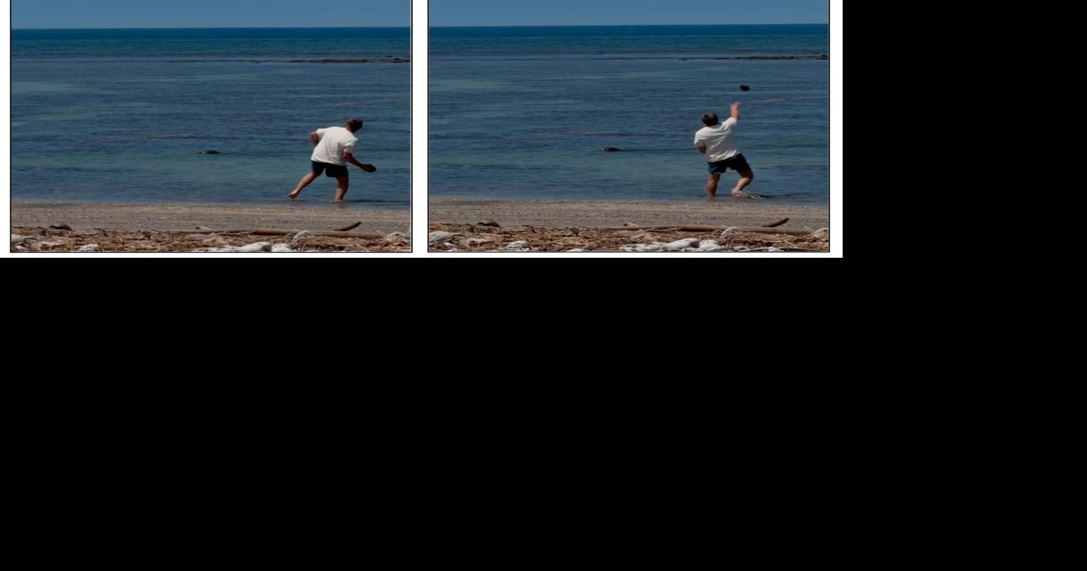 Seattle judge orders Washington man back to Hawaiʻi, where prosecutors say he threw rock at monk seal