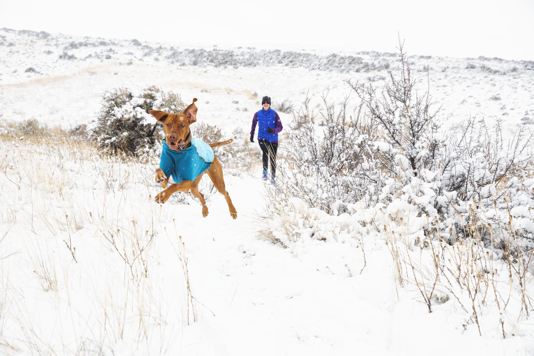 running with a pack