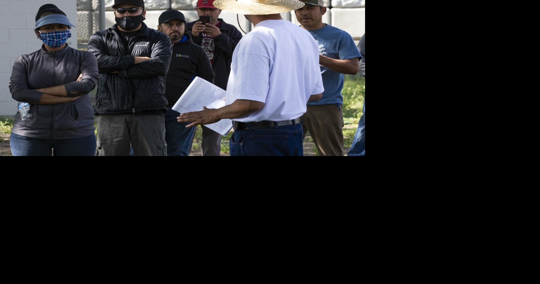 Yakima Valley fruit companies say they're following safety guidelines