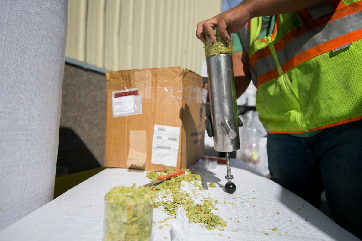 Yakima Chief Hops brings on more growerowners to supply expanding