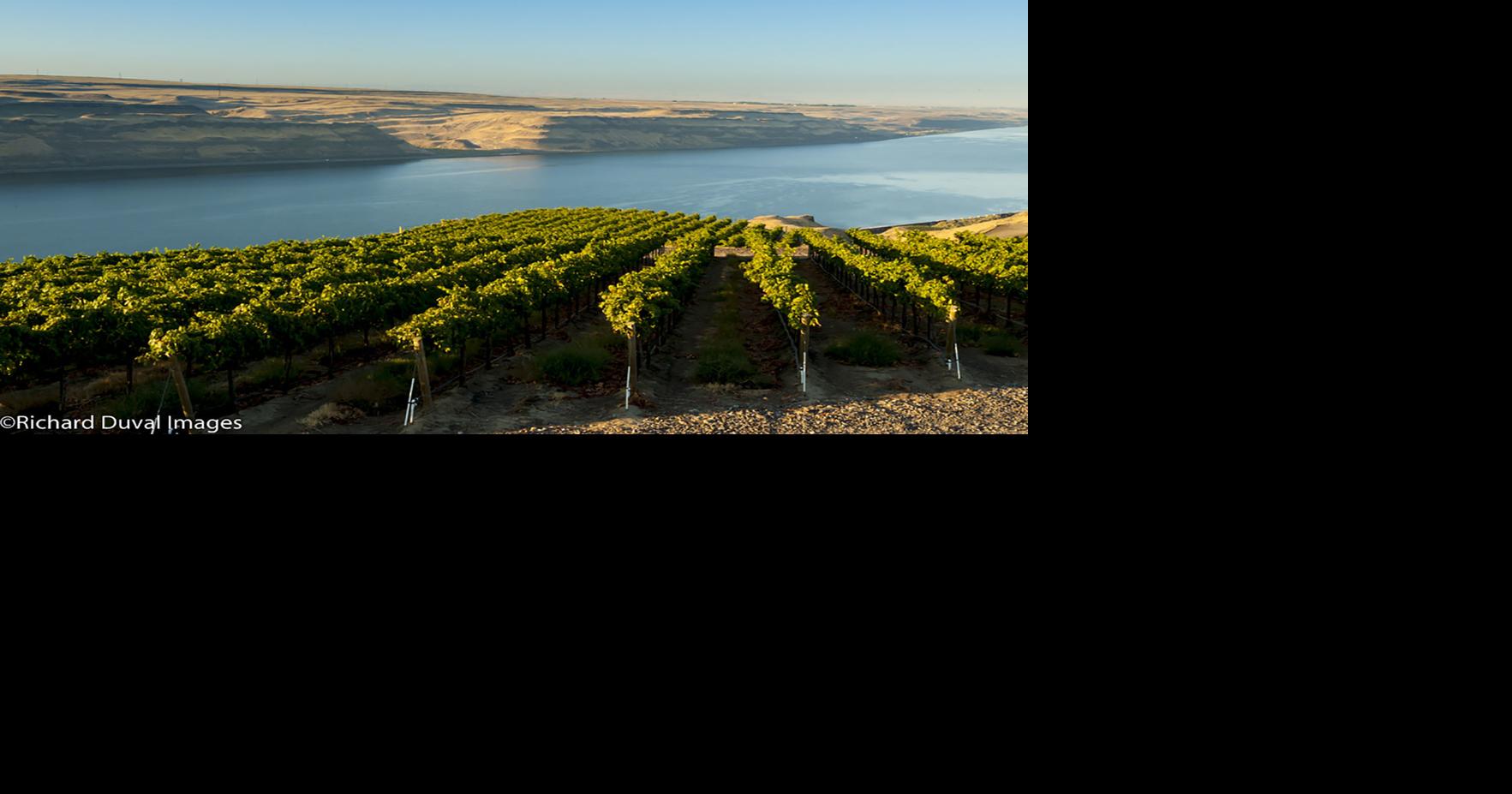 Innovative $300M-plus insulation plant digging in near Tri-Cities