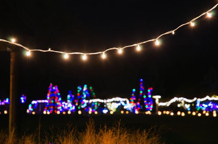 Annual luminaria walk at arboretum a sight to behold News