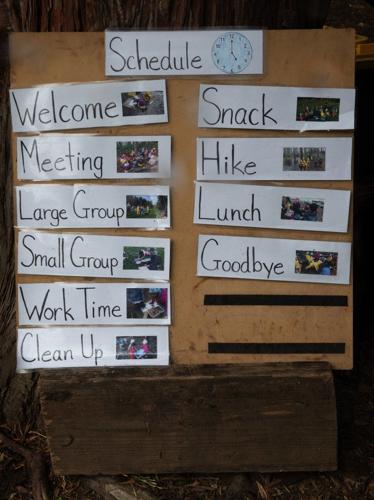 Learning in nature: Washington becomes first in the country to license  outdoor preschools | Local | yakimaherald.com