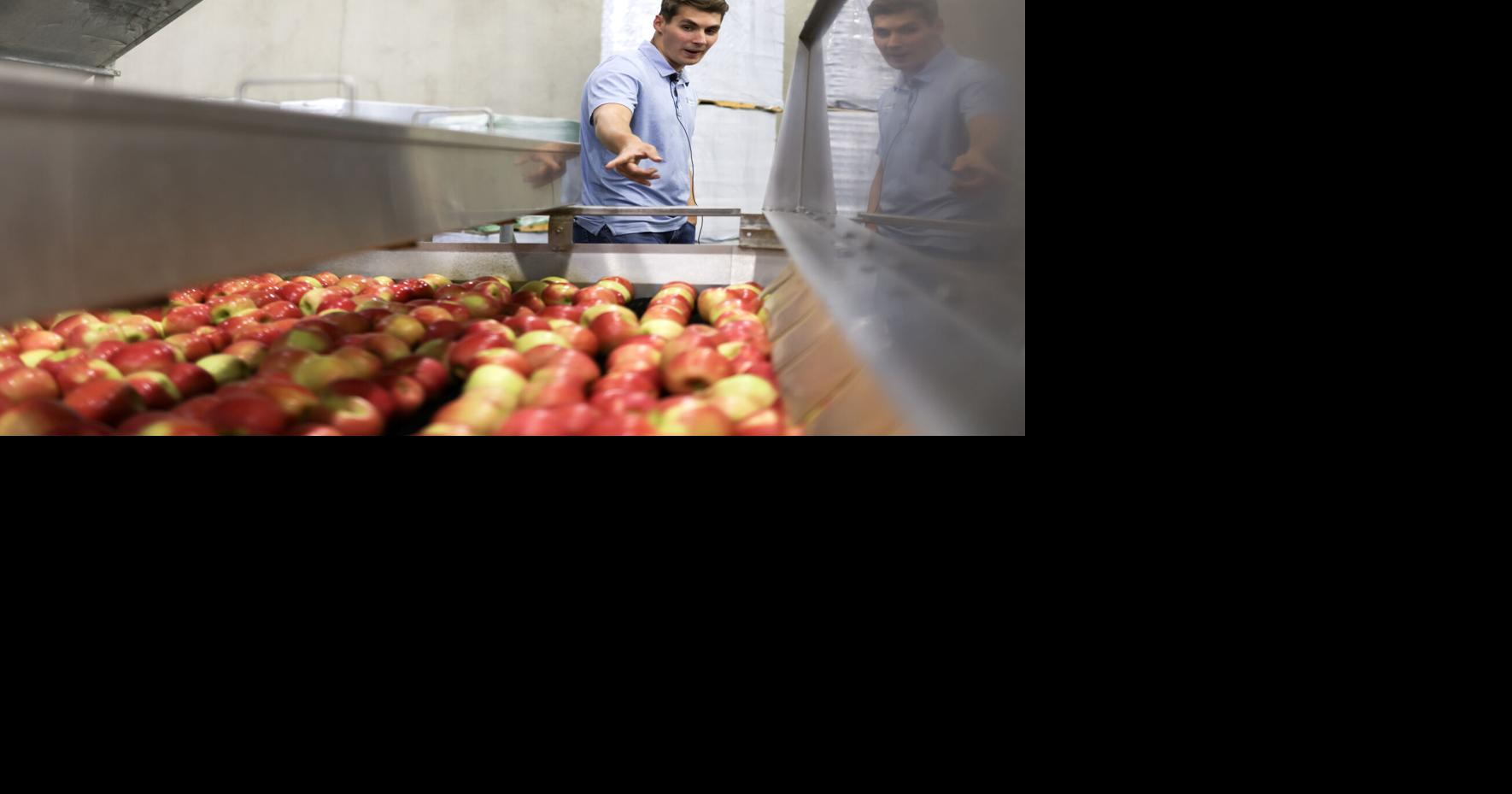 Yakima company combines fruit packing with cutting-edge technology