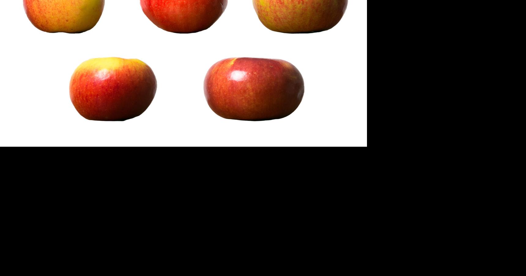 A variety of apple varieties: Market flush with options | Local ...