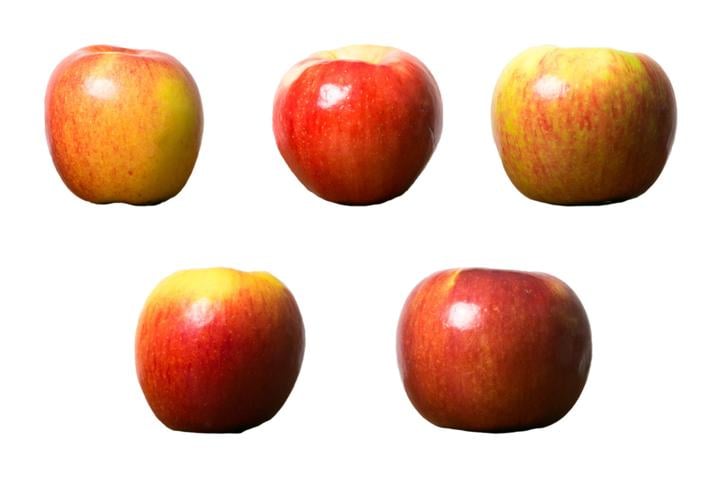 Different Varieties of Apples