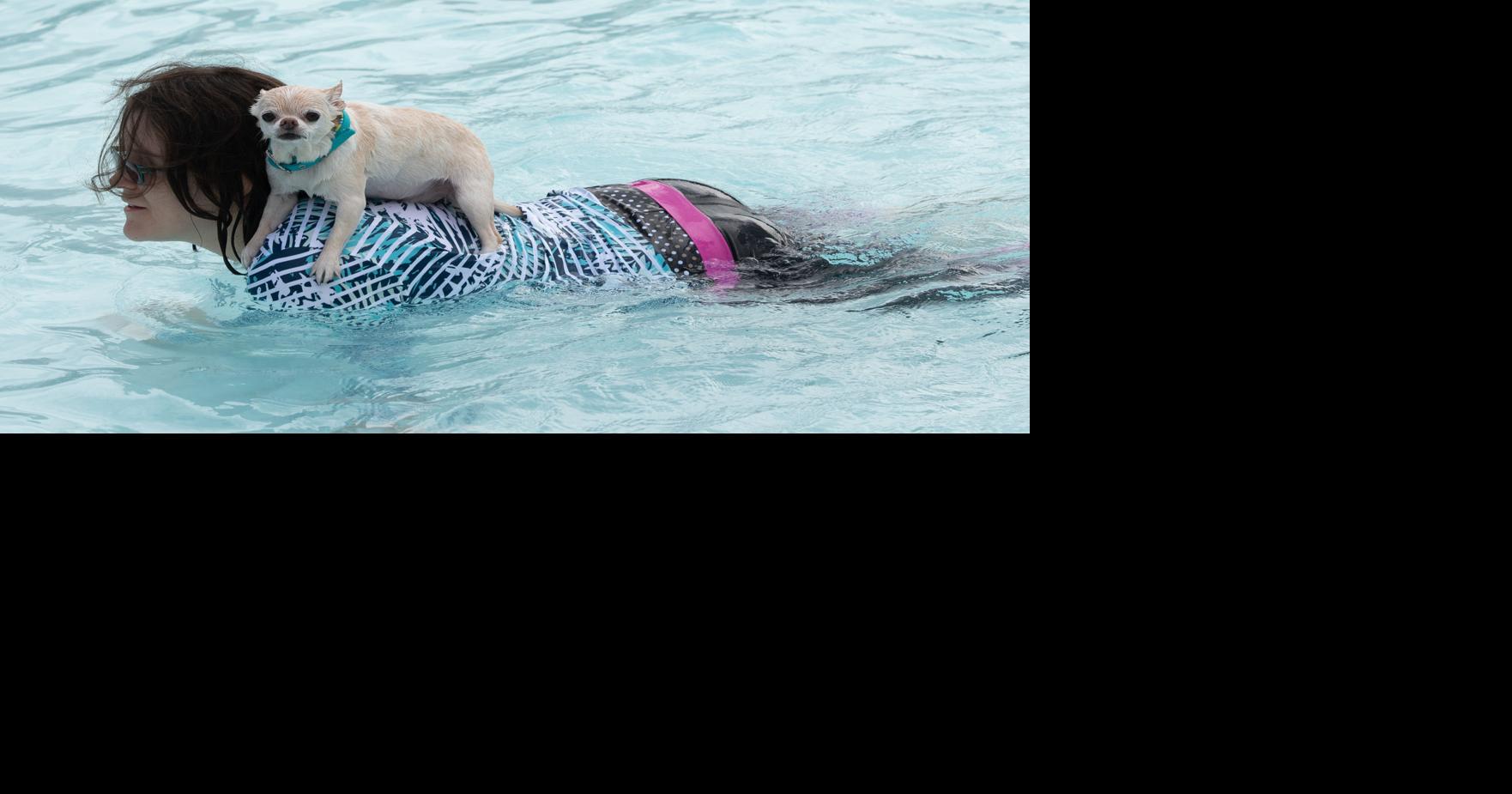 Yakima Valley Weekender Lowriders, summer sendoff and dogs in the pool