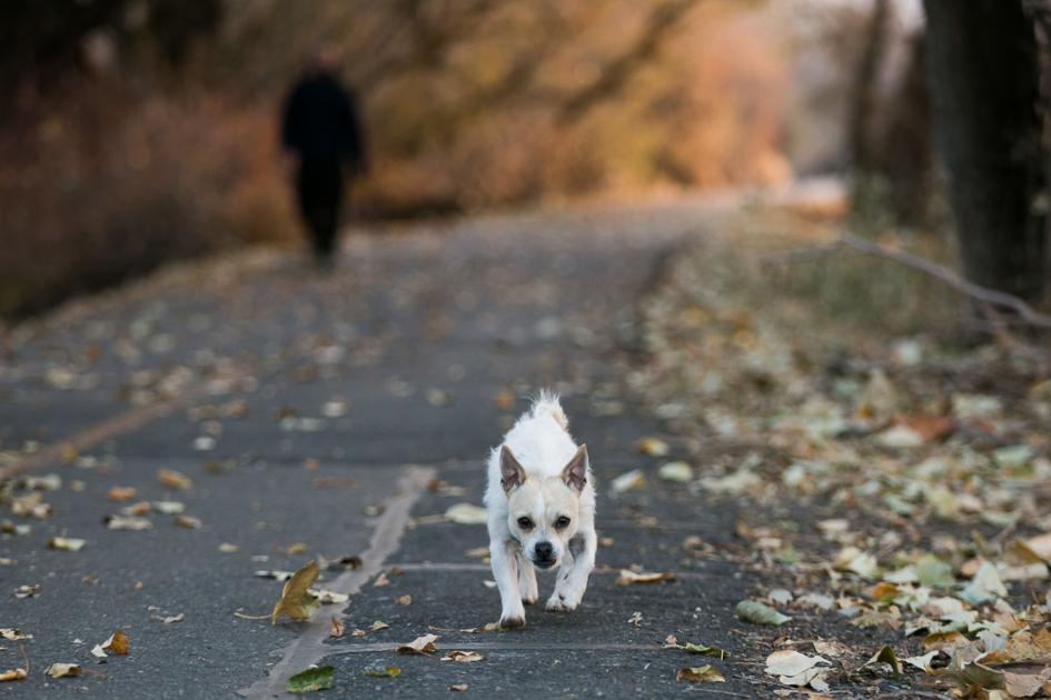 The ideal of Yakima County’s trails |