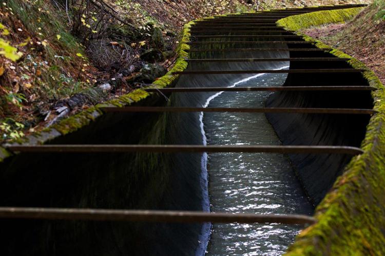 Judge signs final decree in 42year water case Local