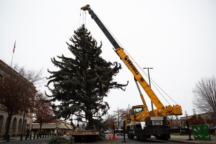 Search is on for community Christmas tree in Yakima Local