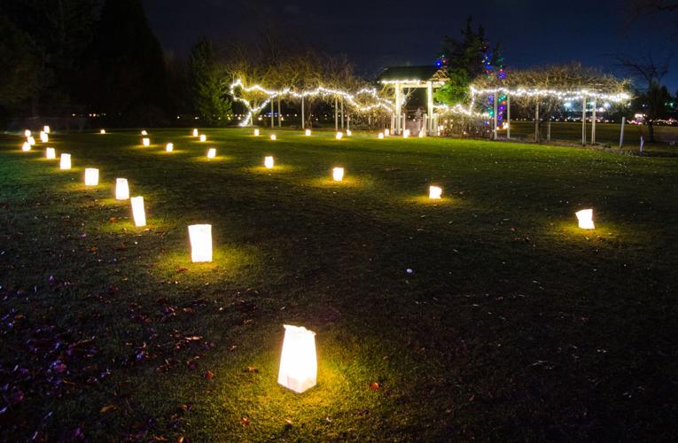 Annual luminaria walk at arboretum a sight to behold News