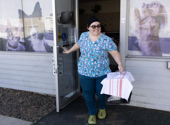 Animal lovers work to safely curb thousands of feral cats in Yakima