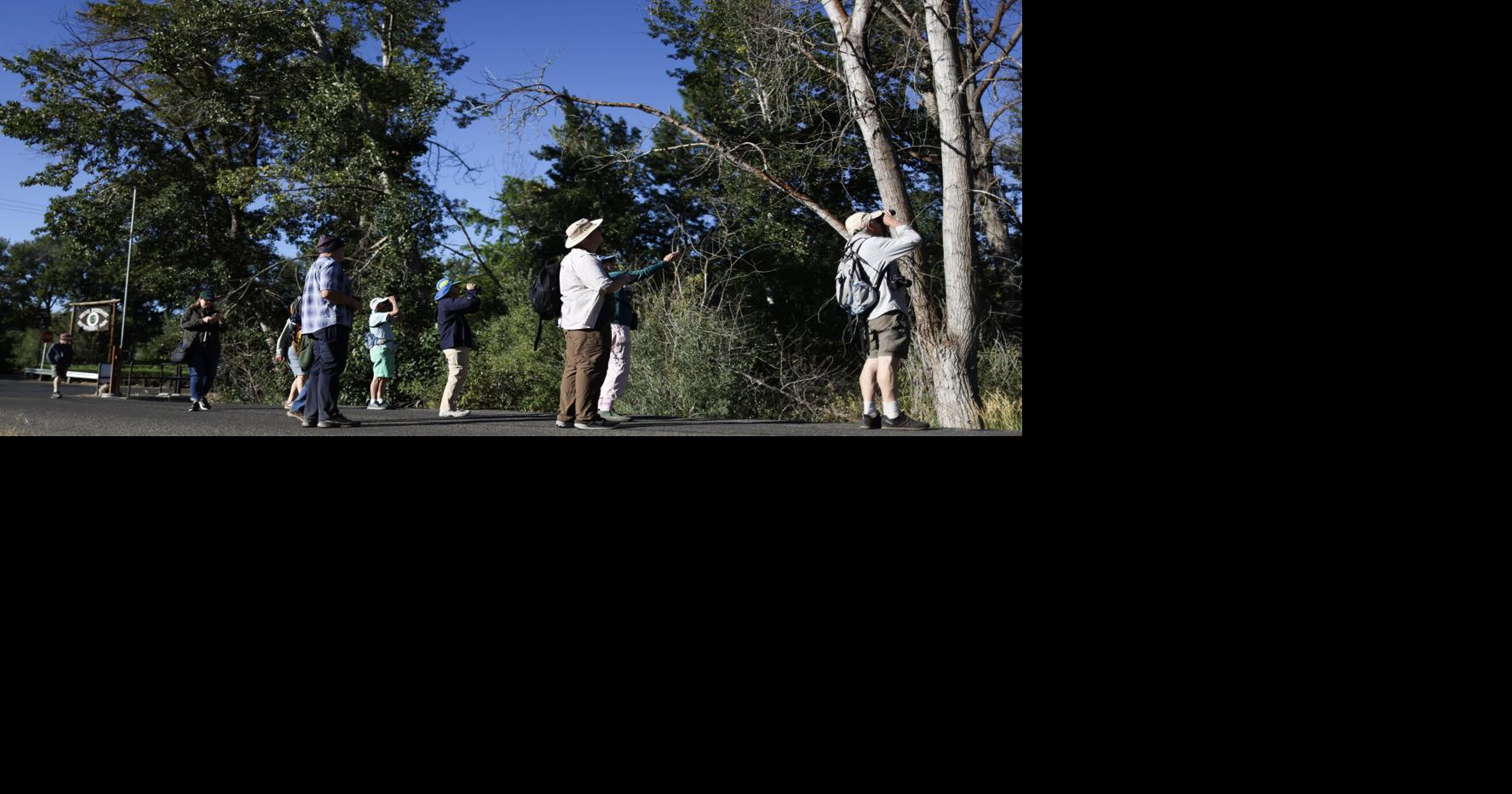 Birders