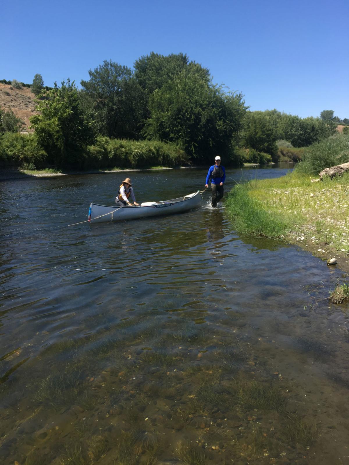 Rising Yakima River temperatures pose threat to salmon Local