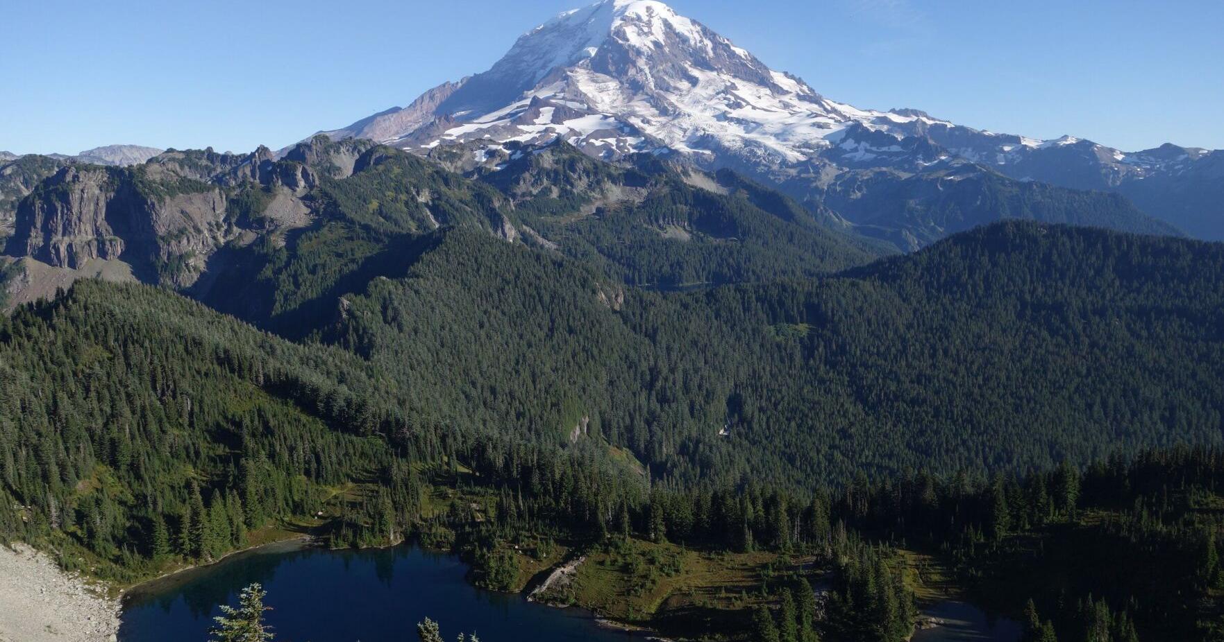 11 things to do in the Seattle area this weekend - Vimarsana News