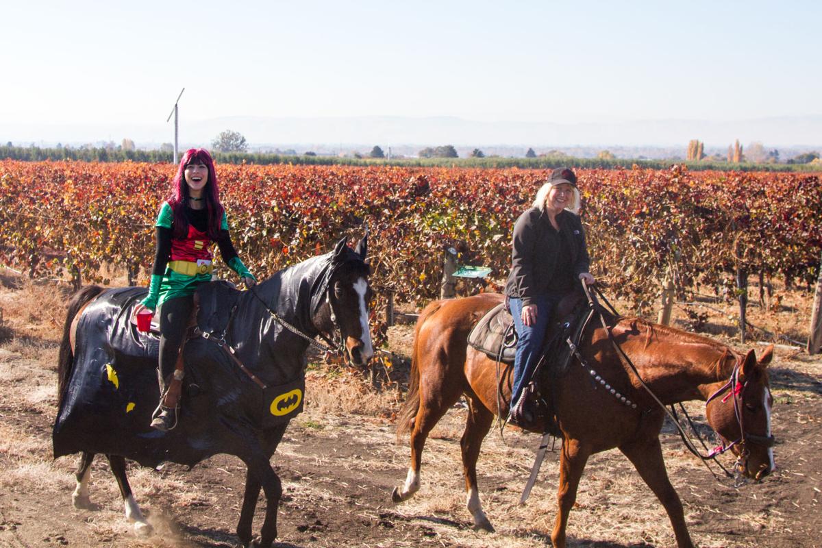 Photos Horseback winery ride in Zillah News Watch