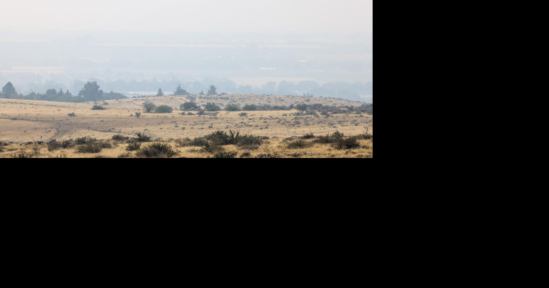 Central WA families asked to help with study on kids with asthma during wildfire smoke