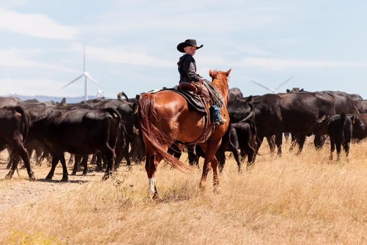 Inside the plan to build a new dam and reservoir in WA