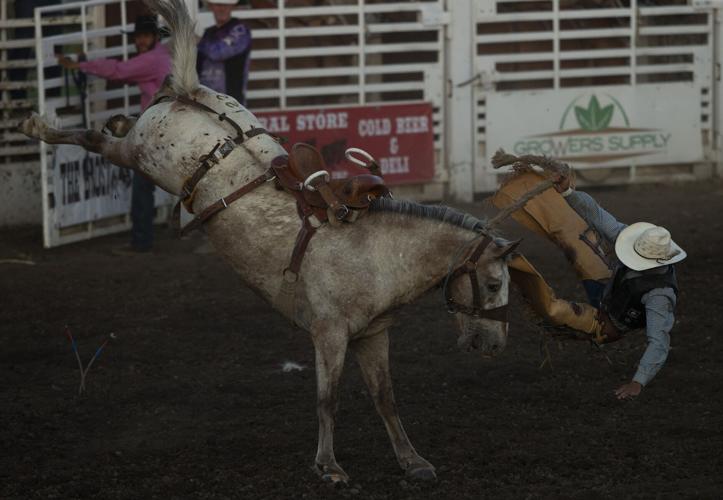 PHOTOS 87th annual Toppenish Rodeo Photos and Videos