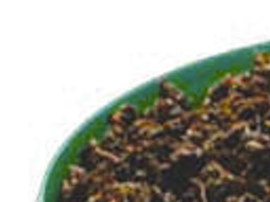 turkish rolling tobacco Auld Kendal Gold Turkish Hand Rolling Tobacco (Loose)