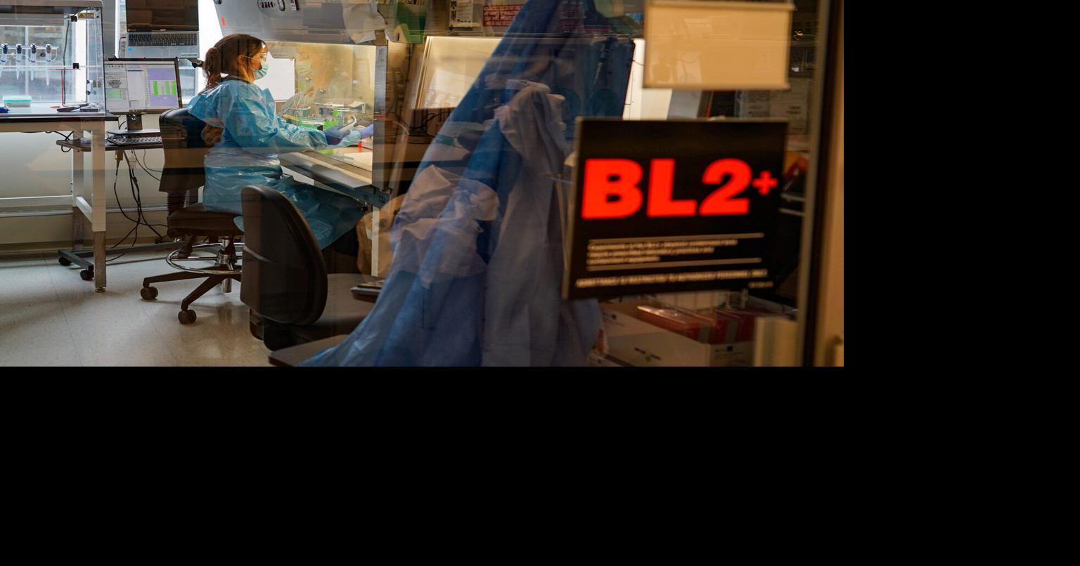 Scientists sequence 1,000 genomes from measles, a disease long eliminated with vaccines