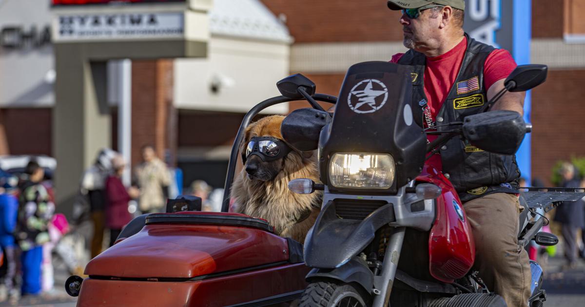 Veterans day freebies 2024 in st louis mo Veterans day freebies 2024 in st louis mo