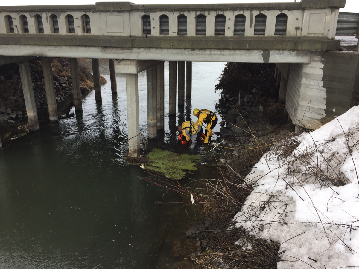 Body found under Highway 97 bridge.