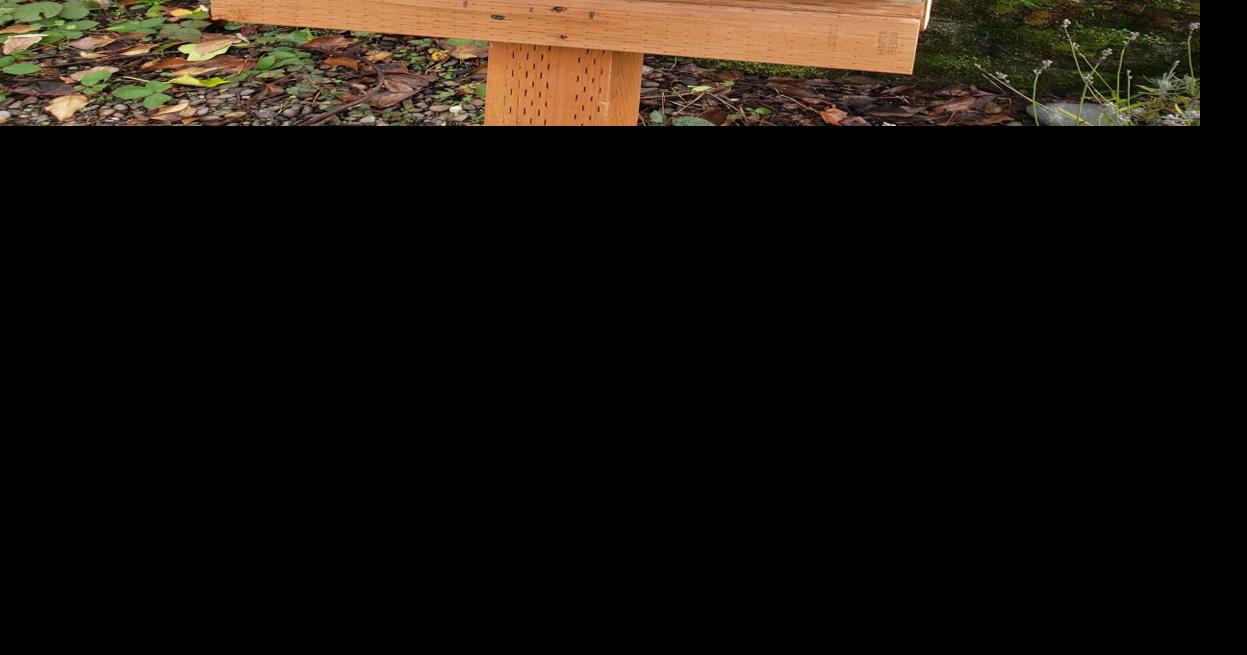 14 Little Free Libraries in Seattle to visit in 2026