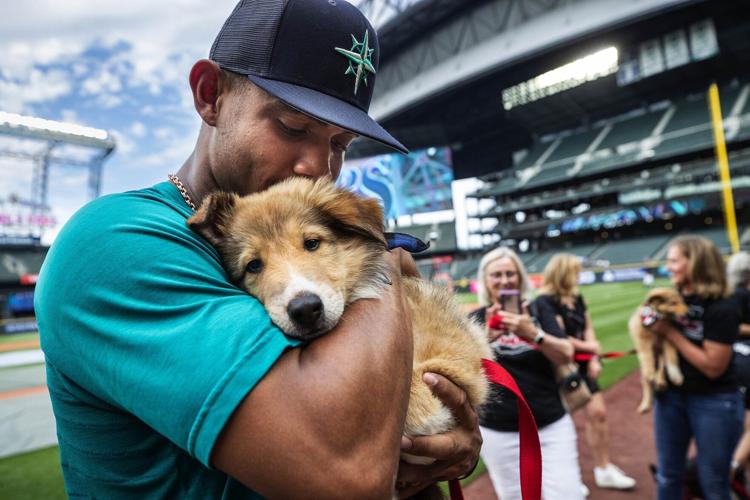 Mariners' star Julio Rodriguez featured on Sports Illustrated