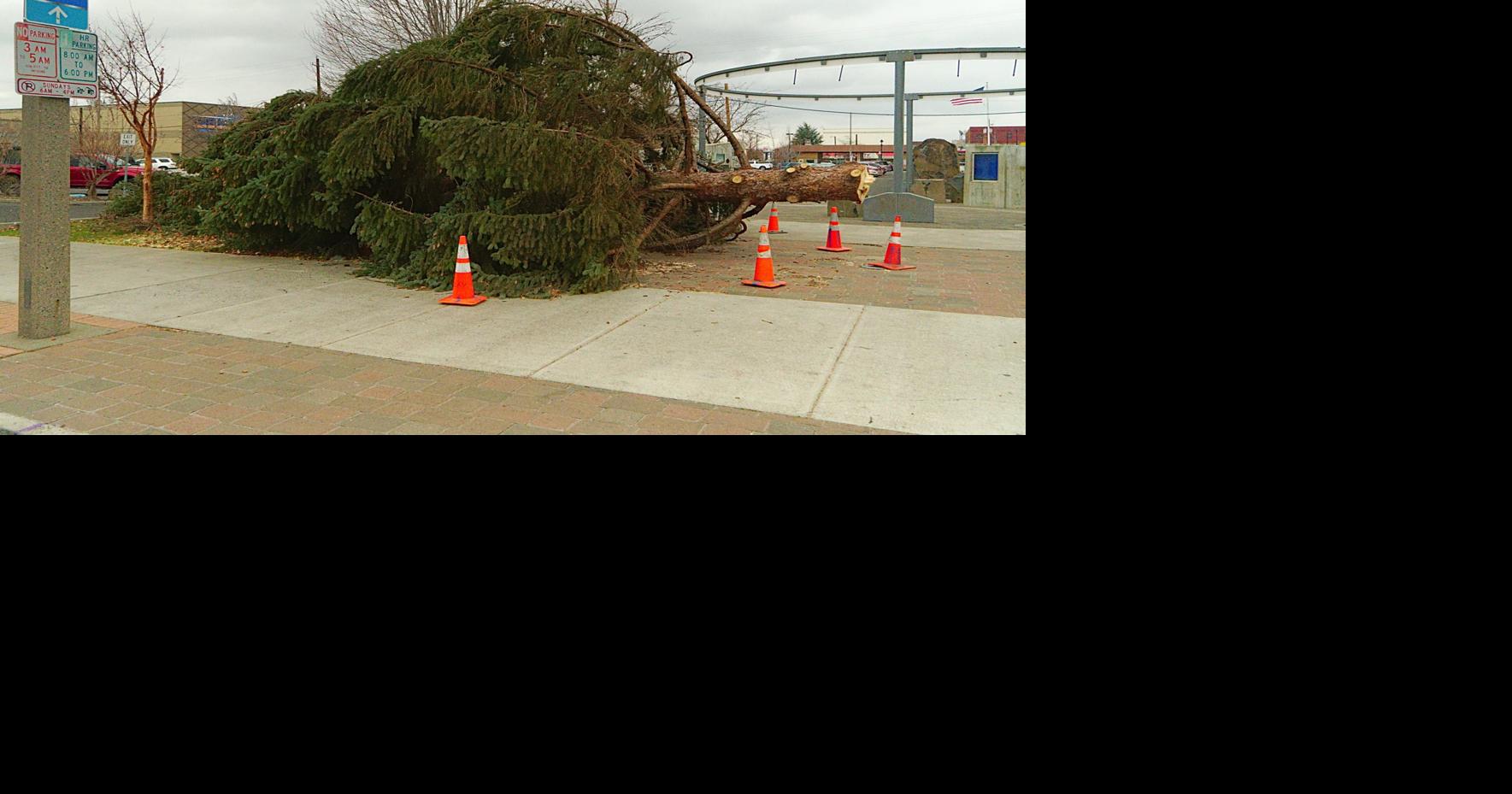 Winds topple Yakima's community Christmas tree Local