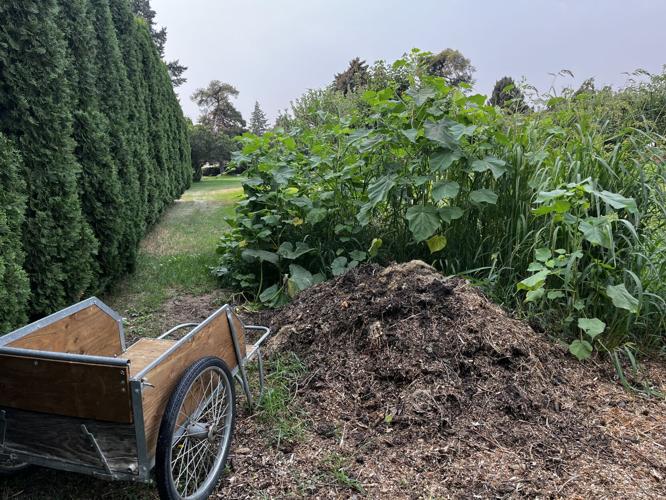 Yakima County Master Gardeners Cold composting garden debris Explore