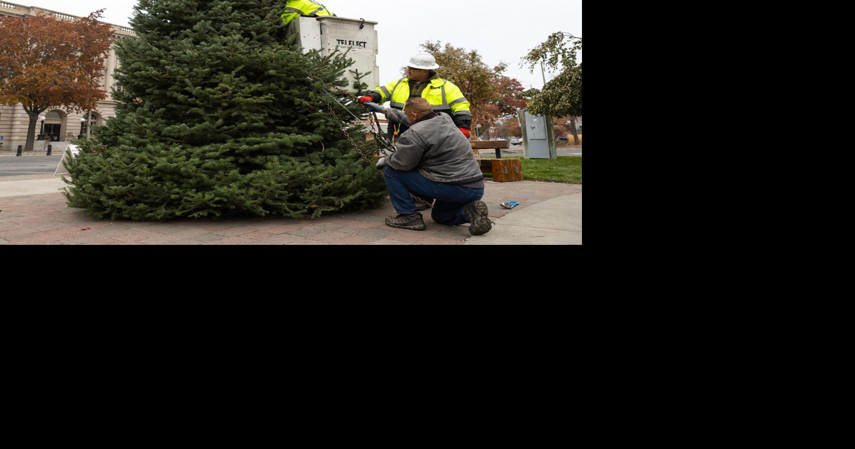 Yakima’s community Christmas tree arrives at Millennium Plaza Local