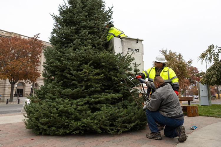 Yakima's community Christmas tree is installed at Millennium Plaza