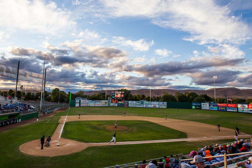 Pippins clinch WCL playoff spot in 73 loss to Corvallis Pippins