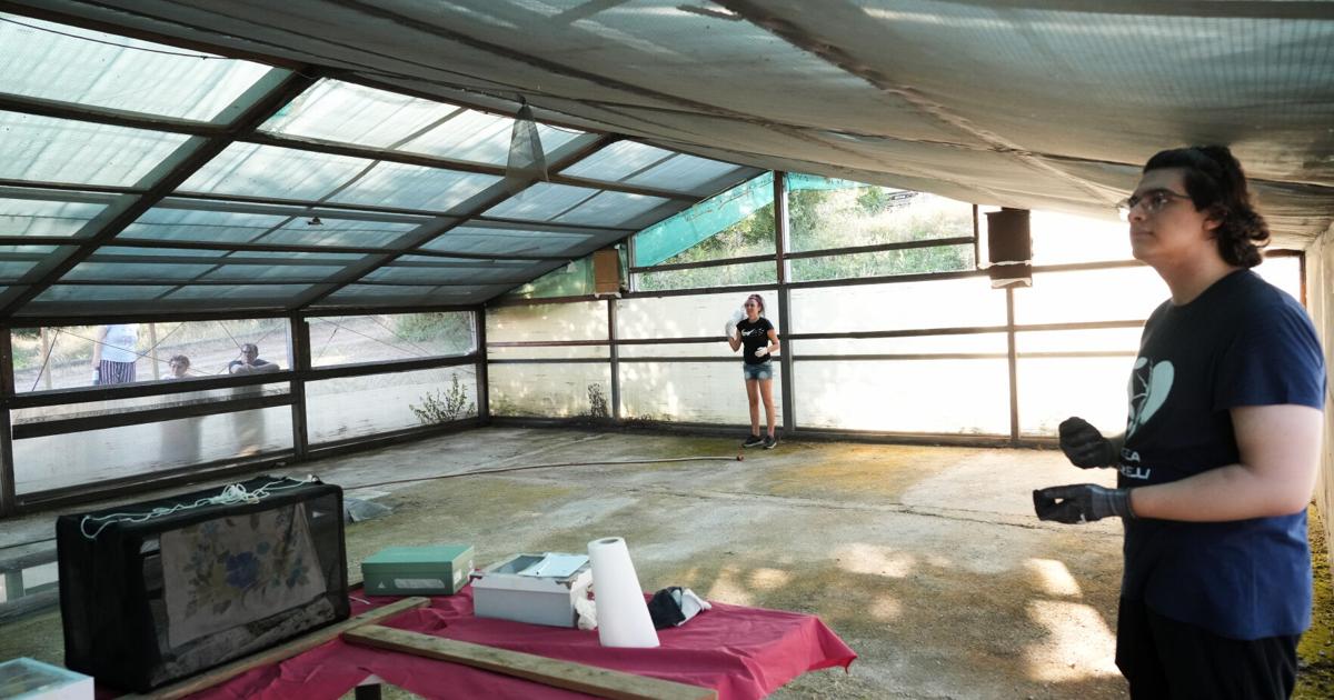 Volunteers work to protect displaced bats at an Italian Bat Conservation, in photos By ANDREW MEDICHINI Associated Press Aug 6, 2026 2 hrs ago