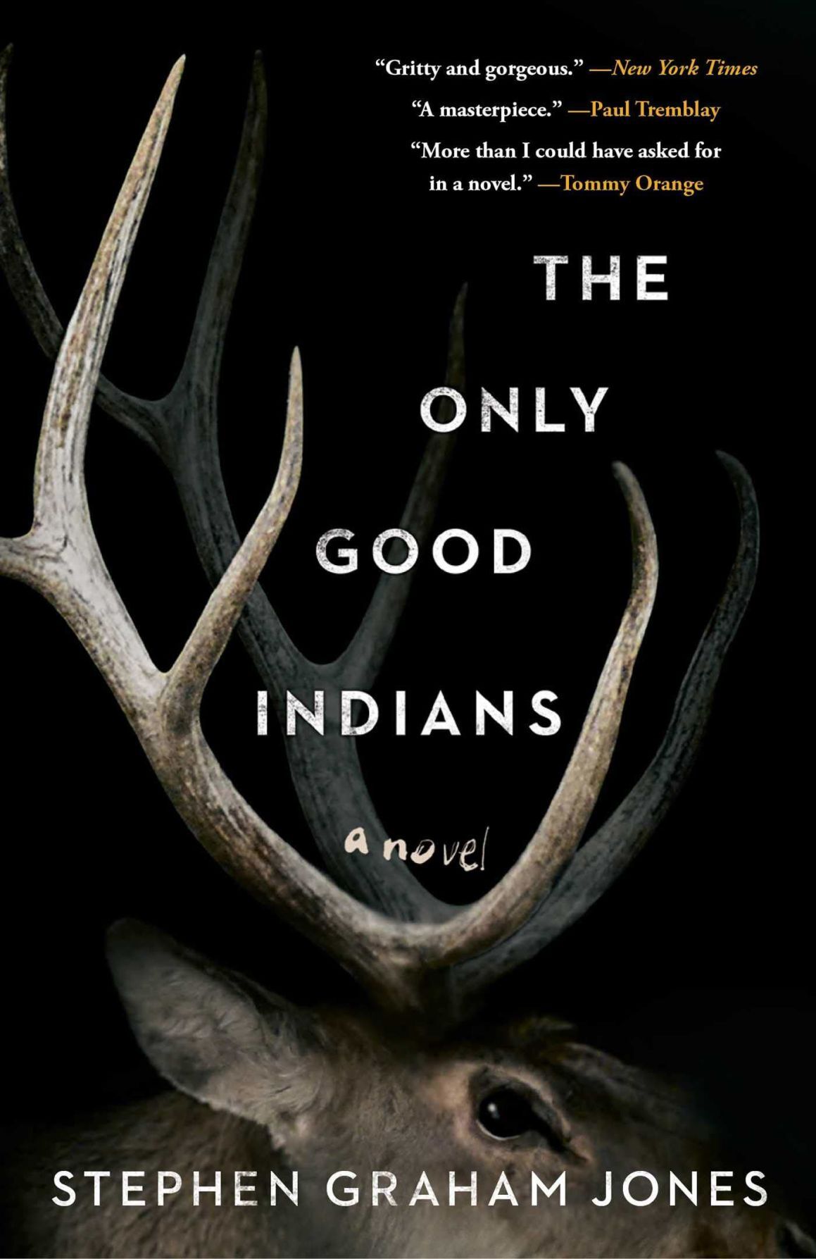 the only good indians review