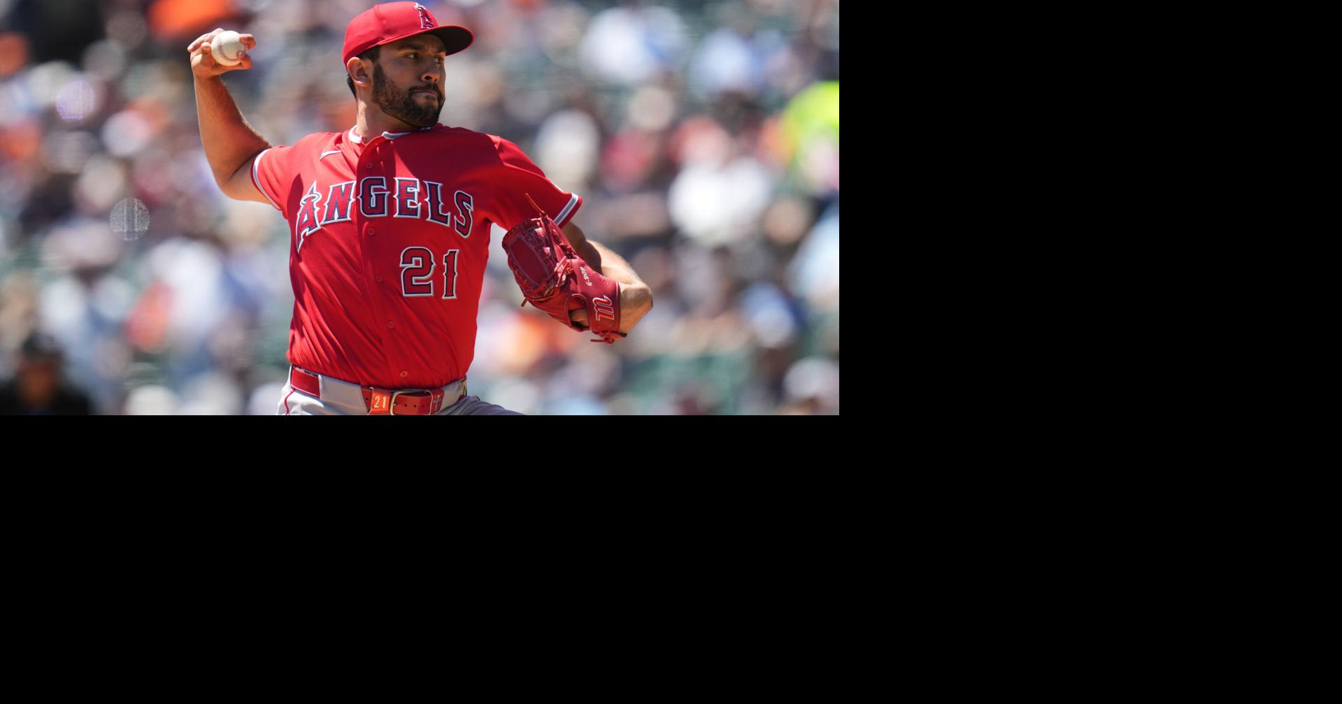 ANGELINOS TIGRES