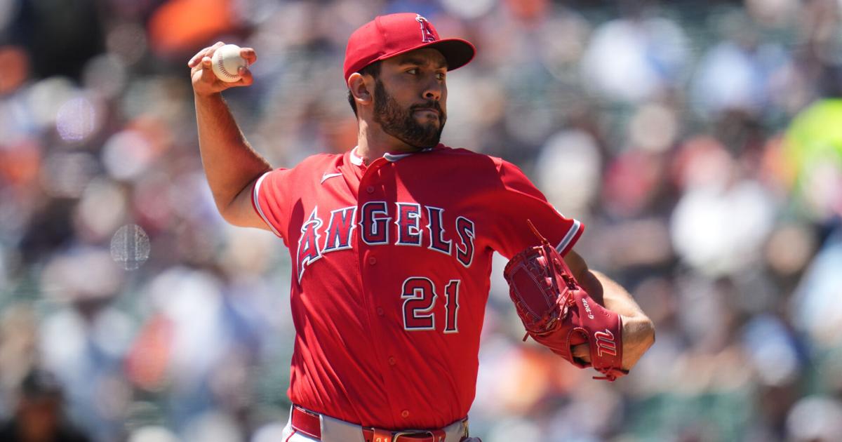 ANGELINOS TIGRES