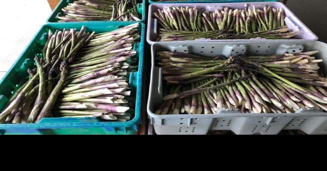 Oysters, asparagus and mushrooms to spring in the Yakima Valley