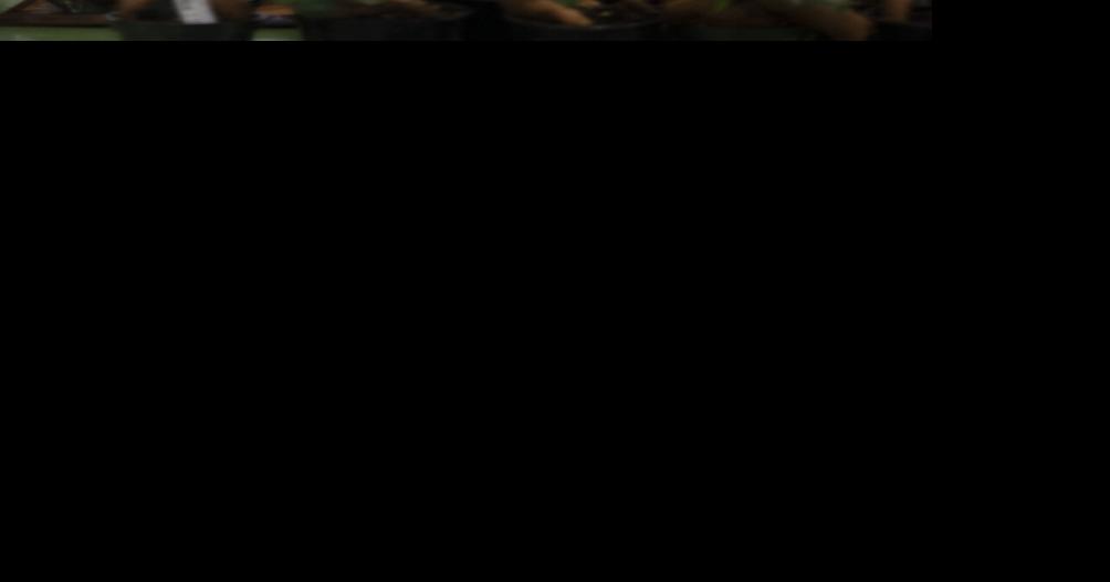 Plant store, coffee shop team up in new Yakima location Business