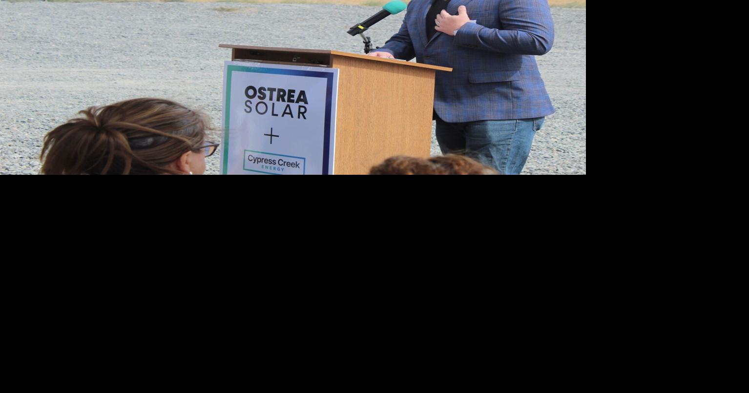 Ostrea 5