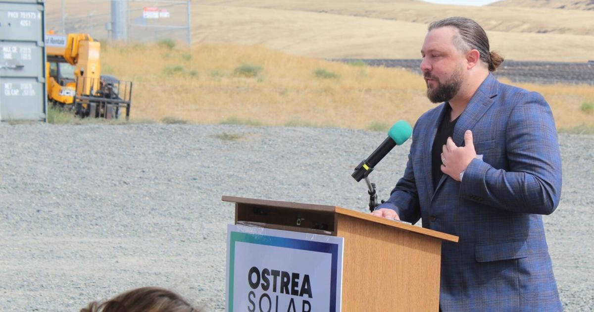 Ostrea 5