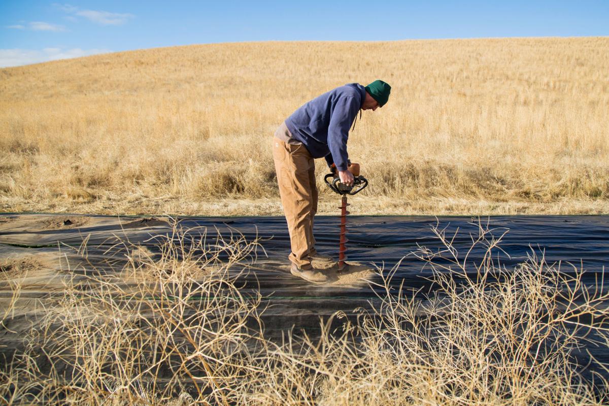 Privatepublic collaboration restores habitat in Washington Local
