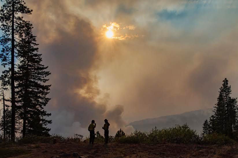 Cougar Creek Fire Crews Keep Wary Eye On Weather | Wildfires ...