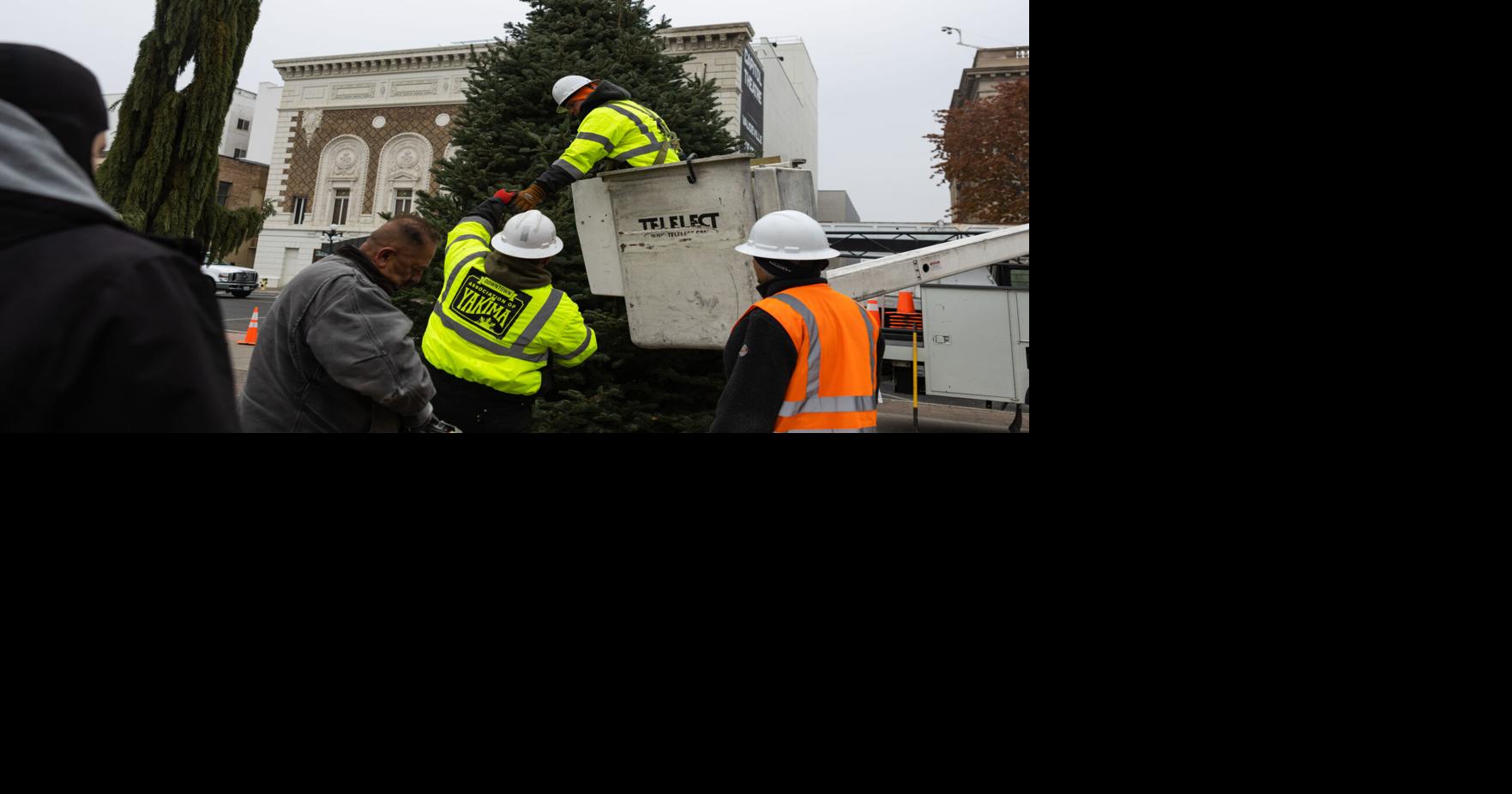 Yakima's community Christmas tree is installed at Millennium Plaza