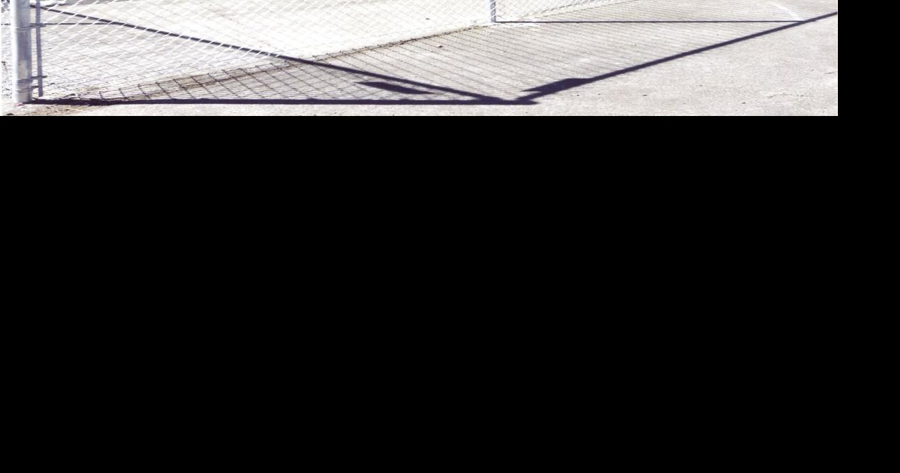 How to Choose a Fencing Company Ls Fencing