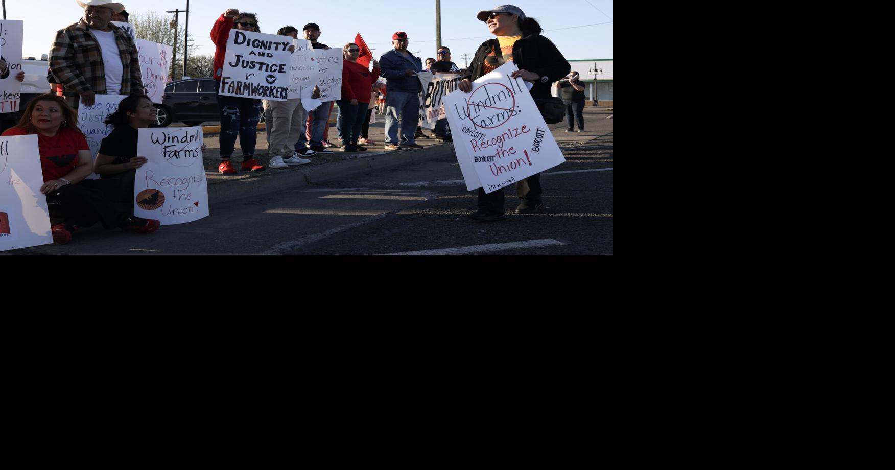 WA farmworker union bill doesn't make it through Legislature