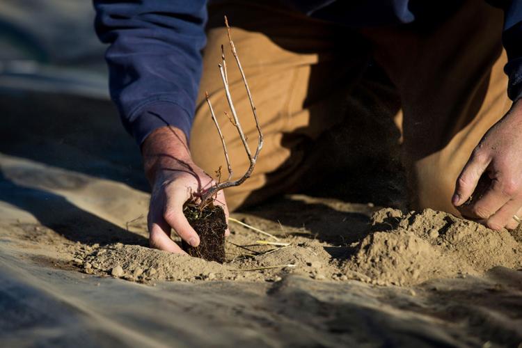 Privatepublic collaboration restores habitat in Washington Local