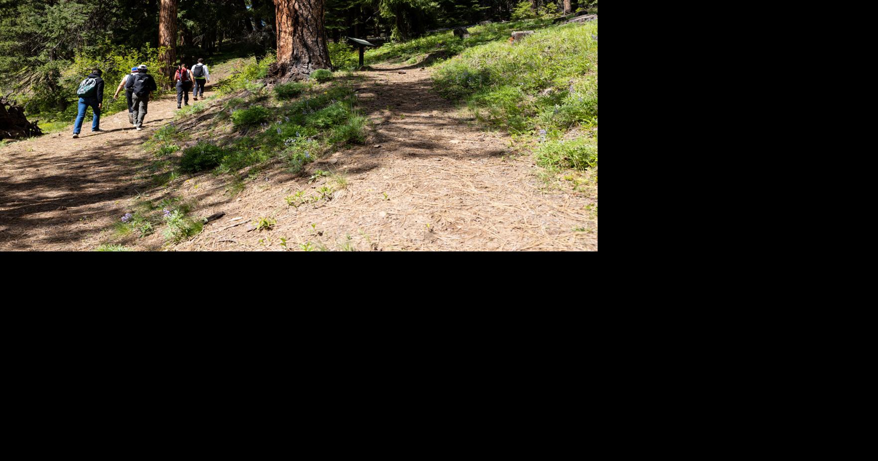 After lengthy freeze, U.S. Forest Service makes seasonal hiring push